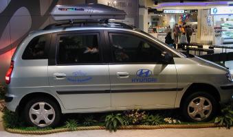 Hyundai minivan fish tank