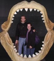 Giant shark jaws