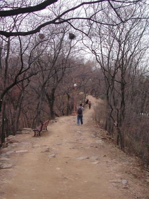 The old outer wall surrounding Dalseong Park