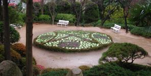 Decorative cabbage arrangement in Geumgang Park