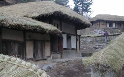 Thatched huts and wall coverings
