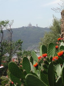 Cactus and Cathedral