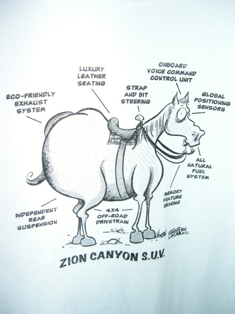 Zion Canyon S.U.V.
