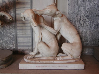 Dogs in Vatican museum